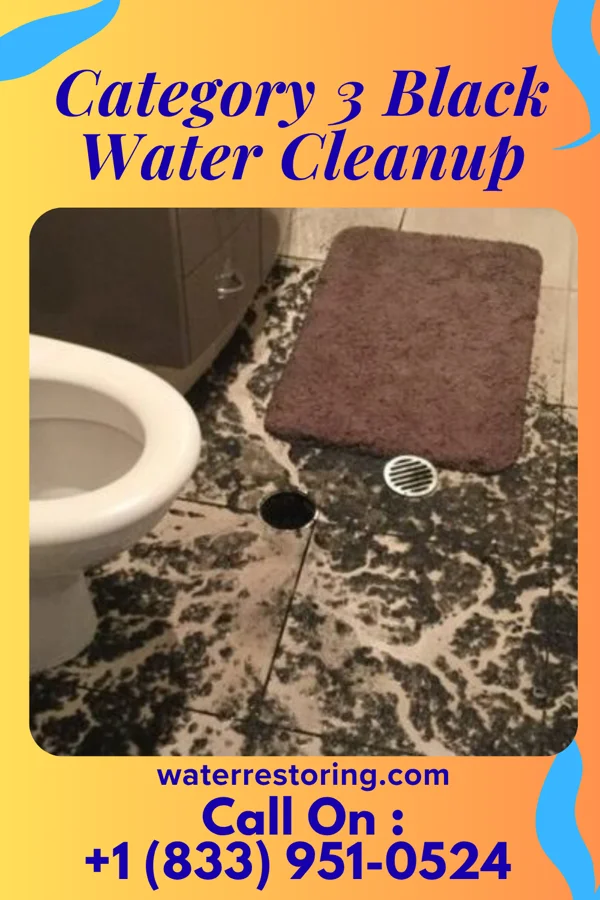 Category 3 Black Water Cleanup in Jennings, FL